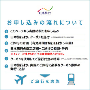 大分県 日本旅行 地域限定旅行クーポン (150,000円分) 観光 旅 旅行 宿泊 ホテル 旅館 温泉 おんせん 【opam005】【日本旅行】