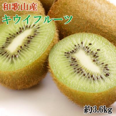 ふるさと納税 九度山町 九度山町産キウイフルーツ 約3.6kg (玉数おまかせ 24玉〜36玉のいずれか 秀品)(九度山町)