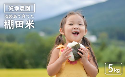 健幸農園の棚田米 5kg 【2025年産】 精米 白米 農家直送