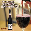 【ふるさと納税】【丹波ワイン】京丹後産サペラヴィスパークリング 丹波ワイン　500ml 酒 ワイン 赤ワイン スパークリングワイン 京都 京丹後 ふるさと納税 酒 ふるさと納税 ワイン わいん 国産 送料無料