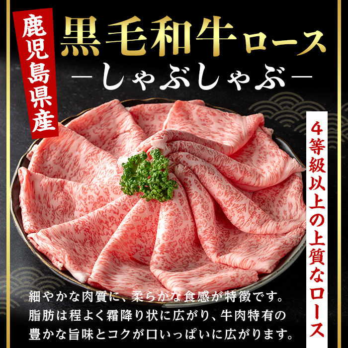 ＜14営業日以内発送！＞鹿児島県産黒毛和牛ロース×黒豚肩ロースしゃぶしゃぶセット (合計1kg・各500g) 国産 牛肉 豚肉【肉のちょーさん】A949