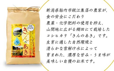棚田米きんのあき1kg 新潟県胎内市鍬江集落産 コシヒカリ 特別栽培米