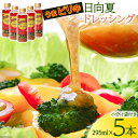 【ふるさと納税】日向夏ドレッシング うまピリ辛タイプ 295ml×5本 小分け袋付き [ミツイシ 宮崎県 日向市 452060839] 調味料 柑橘 日向夏 詰め合わせ セット