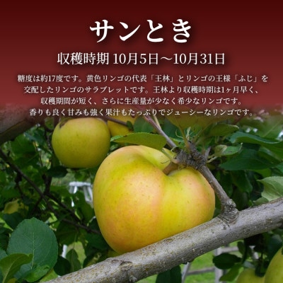 【青森直送 季節の味覚をお届け!】サンとき 3個入×5箱(贈答用)青森産 産地直送 限定生産【配送不可地域：離島】【1700963】