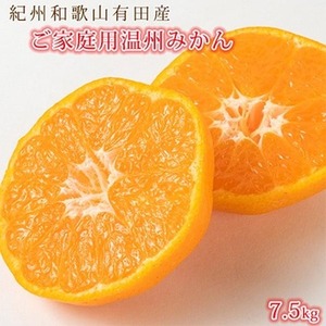 〈定期便〉【1・2・3月 全3回】紀州和歌山産旬のご家庭用柑橘セット(みかん・不知火・レモン)｜ﾌﾙｰﾂ※離島への配送不可