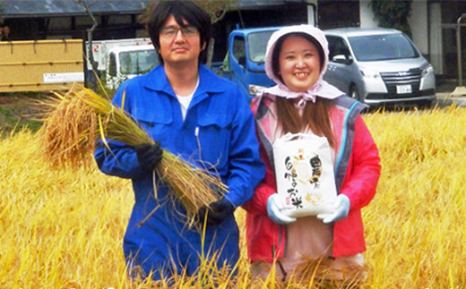 ≪令和７年産≫【3ヶ月定期便】減農薬栽培 ひとめぼれ玄米5kg 【1108】