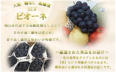 【令和８年発送分】岡山県産 ニューピオーネ 2kg（令和8年8月から9月頃発送）【ニューピオーネ】