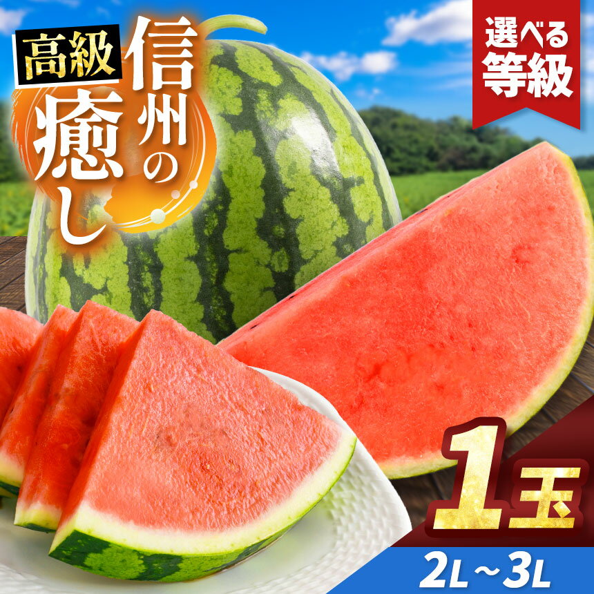 【ふるさと納税】先行予約【選べる】信州波田産 贈答用 高級スイカ！信州の癒し2L～3Lサイズ 1玉｜ふるさと納税 長野県 信州 松本 果物 フルーツ すいか スイカ 西瓜 贈答 季節限定 甘い くだもの ふるーつ