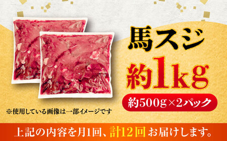 【全12回定期便】馬スジ 約1kg (約500g×2パック) / 馬肉 スジ 馬すじ 煮込み 煮物 カレー お肉 スジ肉 スジ すじ肉 料理用 馬 肉 熊本 すじ【五右衛門フーズ】[BHCY044]