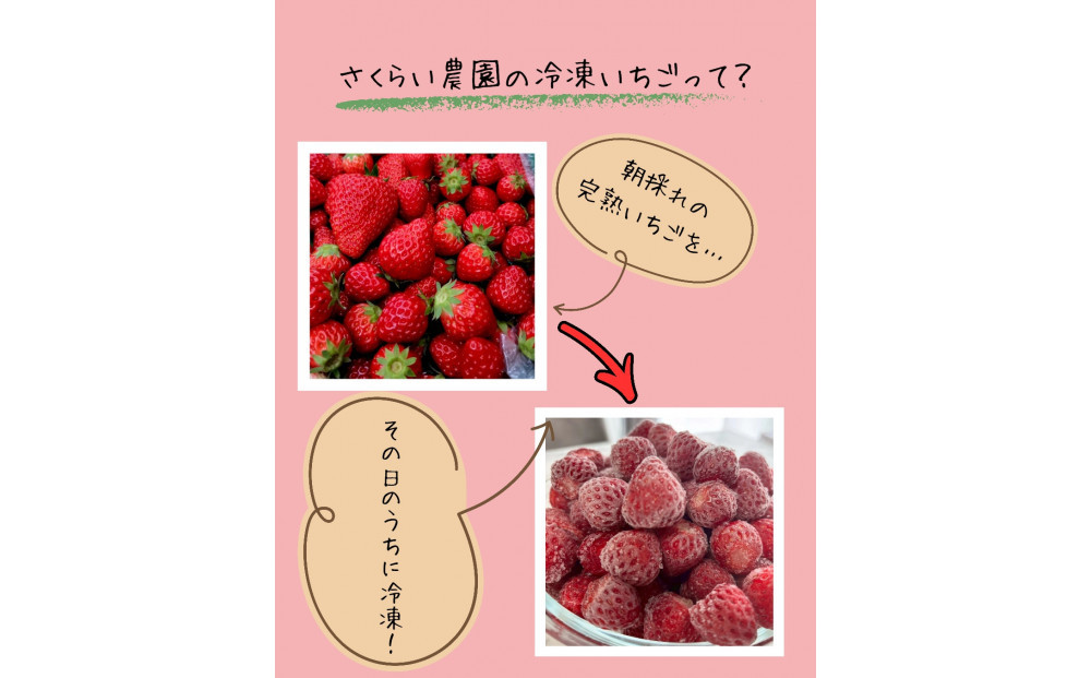 【訳アリ 冷凍いちご】静岡県産の完熟紅ほっぺを使用した冷凍いちご1kg【静岡県産】
