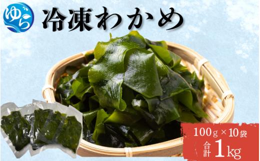 ＼レビューキャンペーン中／ 冷凍わかめ 100g×10袋【令和7年度産】 / 食品 海の幸 海鮮 小分け カイセン海鮮類 ワカメ 冷凍ワカメ 酢の物 サラダ 簡単調理 お味噌汁 冷凍 和歌山県 由良町 【skmn031】