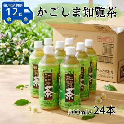 
                  ＜毎月定期便＞かごしま知覧茶500mlペットボトル×24本入り全12回【4087638】
                
