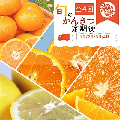 ふるさと納税 日高川町 【発送月固定定期便】紀州和歌山産旬のフルーツセット(みかん・不知火・レモン・清見)全4回