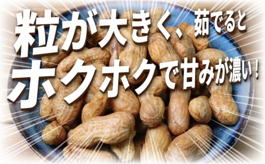 ピーナッツ 落花生 1.5kg 先行予約 【2025年9月以降発送】 らっかせい 生落花生 おおまさり ゆで落花生 用 塩茹で 塩ゆで 大粒 ナッツ 豆 まめ マメ 採れたて とれたて 新鮮 旬 甘い