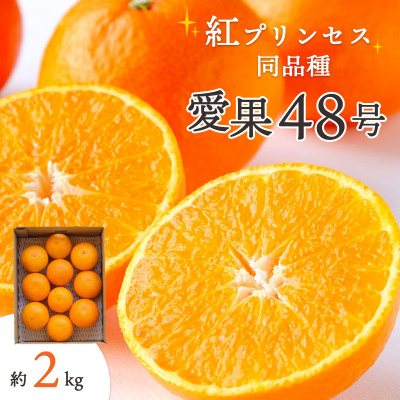 
            ＜2026年発送＞甘平×まどんな「紅プリンセス」と同品種!愛媛果試48号 2kg＜E25-181＞【1607364】
          