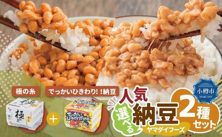 ヤマダイフーズ 人気納豆2種セット 【 極の糸 北海道産極小粒納豆 1ケース（12個） 】+【 でっかいひきわり!! 納豆  1ケース（12個） 】合計2ケース（24個）