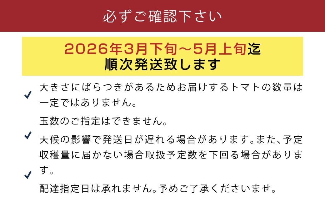 たかしまフルーティトマト 糖度10度以上 ！「ハートの女王」1kg箱 ×1