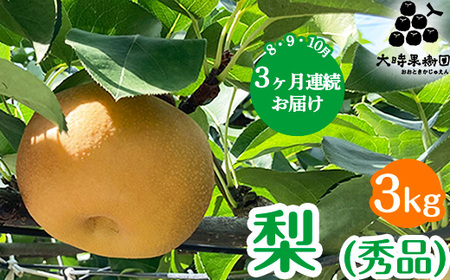 【定期便】梨(品種お任せ) 3kg箱(秀品) | 栃木県 宇都宮市 梨 なし 果物 フルーツ 秋 旬 梨 3kg 秀品 贈答 ギフト ※2026年8月～発送