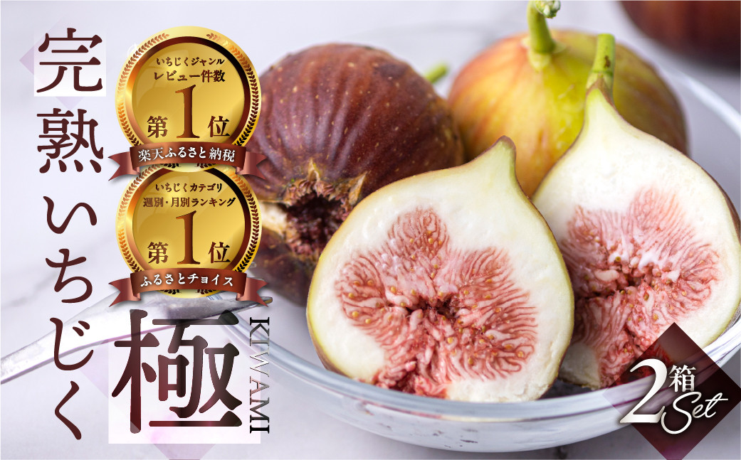 
完熟 いちじく［極］ 無花果 2箱セット 【専用箱でお届け】2025年発送 イチジク 6月/7月/8月/9月/10月 贈答品
