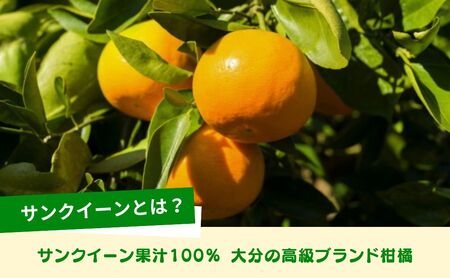 サンクイーンジュース（果汁100％） | 津久見市