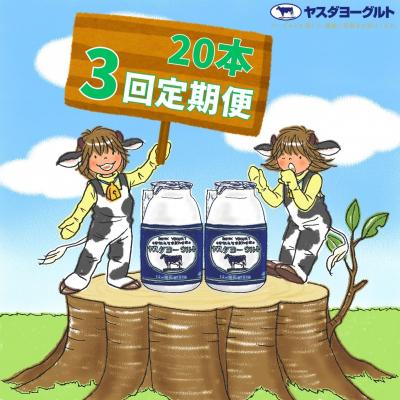 ふるさと納税 阿賀野市 【3ヶ月定期便】ヤスダヨーグルト 　150g×20本