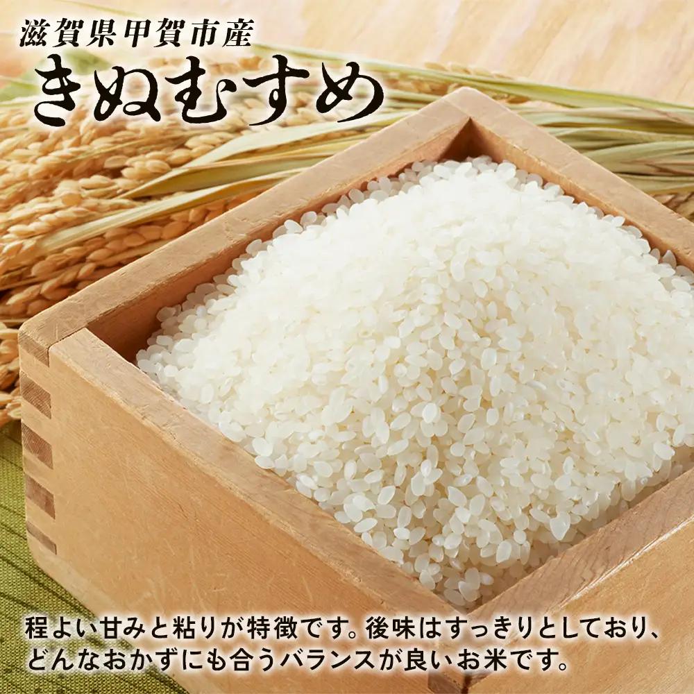 【令和8年産 新米 先行予約】【定期便】近江米きぬむすめ 5kgx3回定期便（精米）※2026年9月～発送