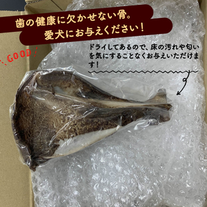 鹿ドライ肩甲骨Mサイズ（20~22㎝）6本 セット ペット用品 ペットグッズ ペットフード