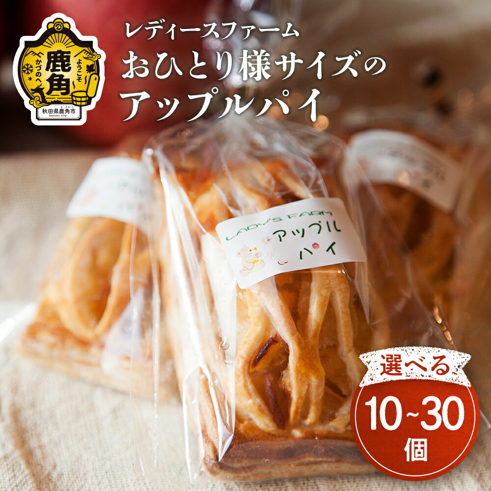 【ふるさと納税】お一人様サイズの アップルパイ 10個 / 20個 / 30個 小分け おすそ分け スイーツ りんご お菓子 おやつ 日持ち お中元 お歳暮 母の日 贈り物 グルメ ギフト 故郷 秋田 あきた 鹿角 送料無料 【レディースファーム】