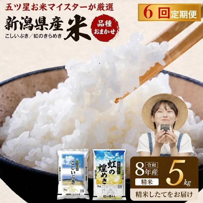 【先行予約】R8年産 新潟県産 品種おまかせ  5kg 6か月定期便 新潟県 新潟市産 令和8年産 お米 精米 米 ご飯 送料無料