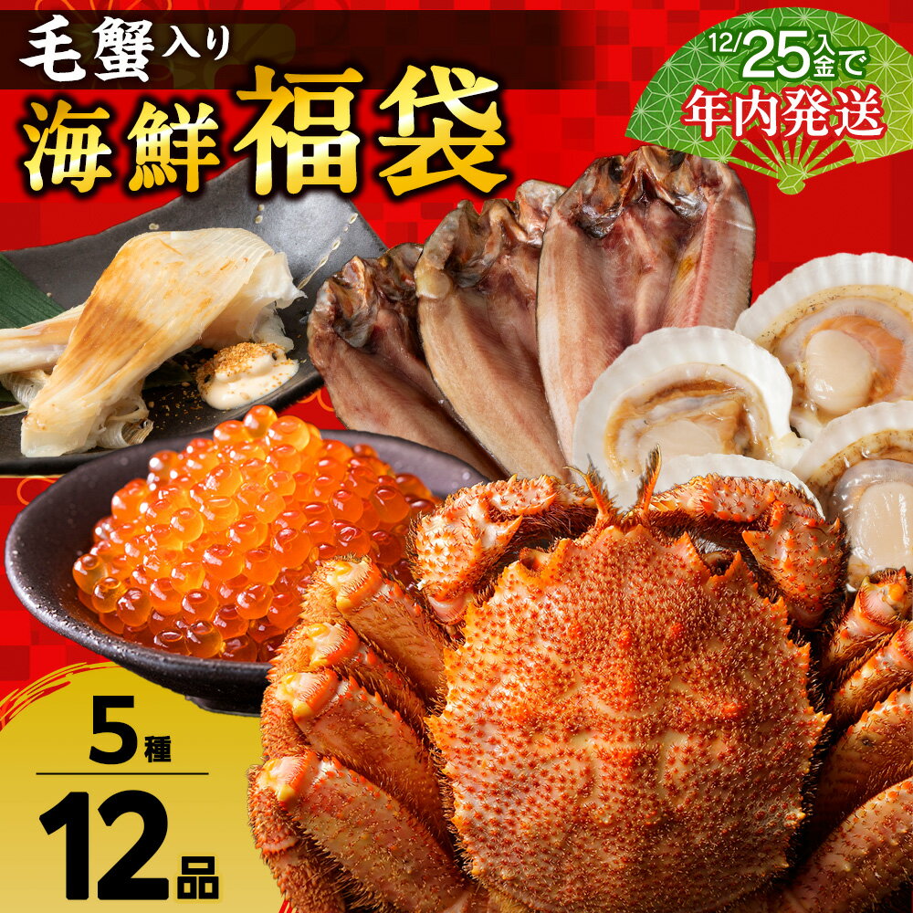 【ふるさと納税】毛蟹入り！海鮮福袋＜並＞いくら ほっけ 一夜干し ほたて 帆立 真かすべ ボイル 毛がに 毛ガニ 毛蟹 ボイル 蟹 カニ 海鮮 海産物 北海道ふるさと納税 稚内 ふるさと納税 北海道