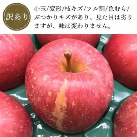 【11月より順次発送】青森県産「サンふじ」家庭用　訳あり 光センサー選果済　約3kg【1635391】
