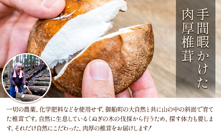 しいたけ 椎茸 生椎茸 1kg 荒木農産《出荷時期をお選びください》熊本 御船 原木椎茸 送料無料_イメージ2
