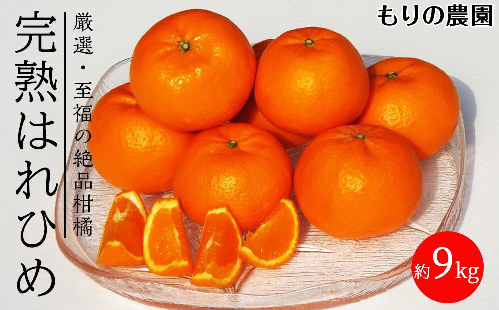 
            はれひめ「みかんの甘み」と「オレンジの香り」の新品種！9kg【もりの農園 柑橘 果物 フルーツ 人気 おすすめ 瀬戸内 広島県  尾道市】
          