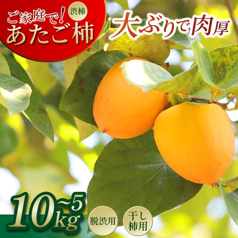 【ふるさと納税】 柿 渋柿 かき 5kg ～ 10kg 15玉 ～ 40玉 渋柿 干し柿 用 あたご柿 愛宕柿 カキ 15玉 ～ 20玉 国産 フルーツ 果物 果実 愛宕柿 秋 甘い 肉厚 旬 脱渋 ご家庭で 人気 オススメ お取り寄せ 手仕事 目利き 特選 林青果 秘境 みよし 三好市 徳島県