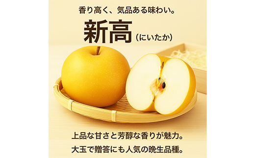 新高梨 1.8kg ナシ 梨 果物 くだもの フルーツ FKP9-733
