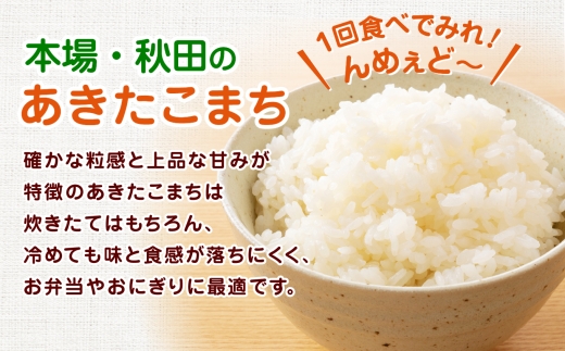 【定期便6ヶ月】【令和8年産】秋田県産あきたこまち(白米)5kg / 米 白米 5kg 令和8年産 秋田県産 あきたこまち 5kg×1袋 おにぎり 大館 東北 秋田 小分け こわけ 大館市 5キロ 5