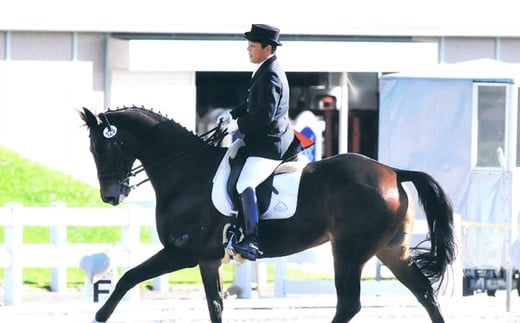 
四街道グリーンヒル乗馬クラブ 店頭利用券 50000円分 / 乗馬体験 ビジターレッスン 自馬預託料
