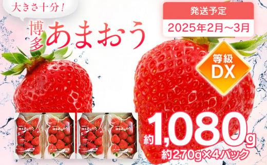 【2025年2月～3月順次発送予定】 あまおう 合計約1,080g 約270g×4パック DX