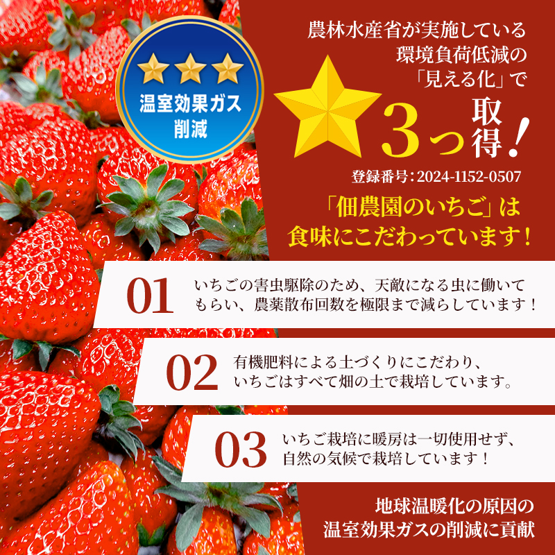 -40度で急速冷凍！ 冷凍いちご 1kg ( 古都華 )