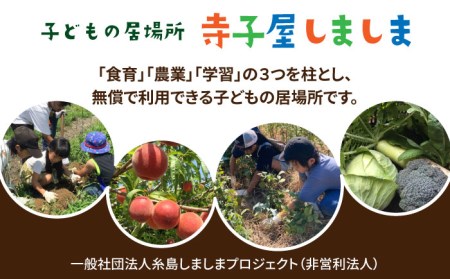 糸島で農業体験(3名) 栽培期間中農薬不使用 無化学肥料 無除草剤の畑で野菜のお世話体験！[AAL003]