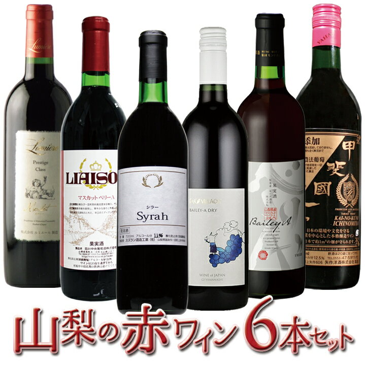 【ふるさと納税】山梨の赤ワイン6本セット ふるさと納税 ワイン 笛吹市 山梨ワイン 酒 アルコール 山梨県 記念品 お祝い 送料無料 127-026