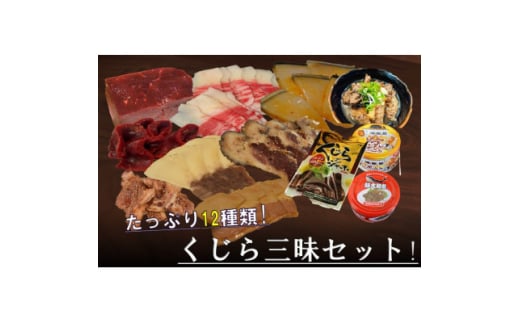 くじら三昧12種詰め合せセット【1512643】