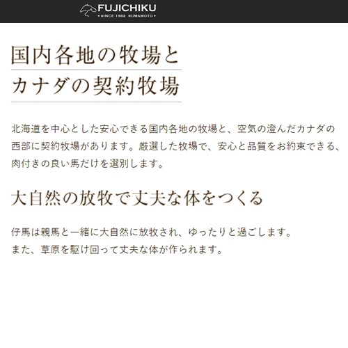 【熊本と畜】ふじ馬刺し上赤身4個セット（80g×4）