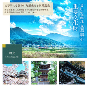 宿泊券 長野 別所温泉 15000円 ギフト券 券 チケット クーポン 旅行 観光 宿泊