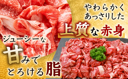 E-122　佐賀牛 切り落とし 500g×4【合計2kg】牛肉 肉 佐賀牛 切り落し 切落し 切りおとし 