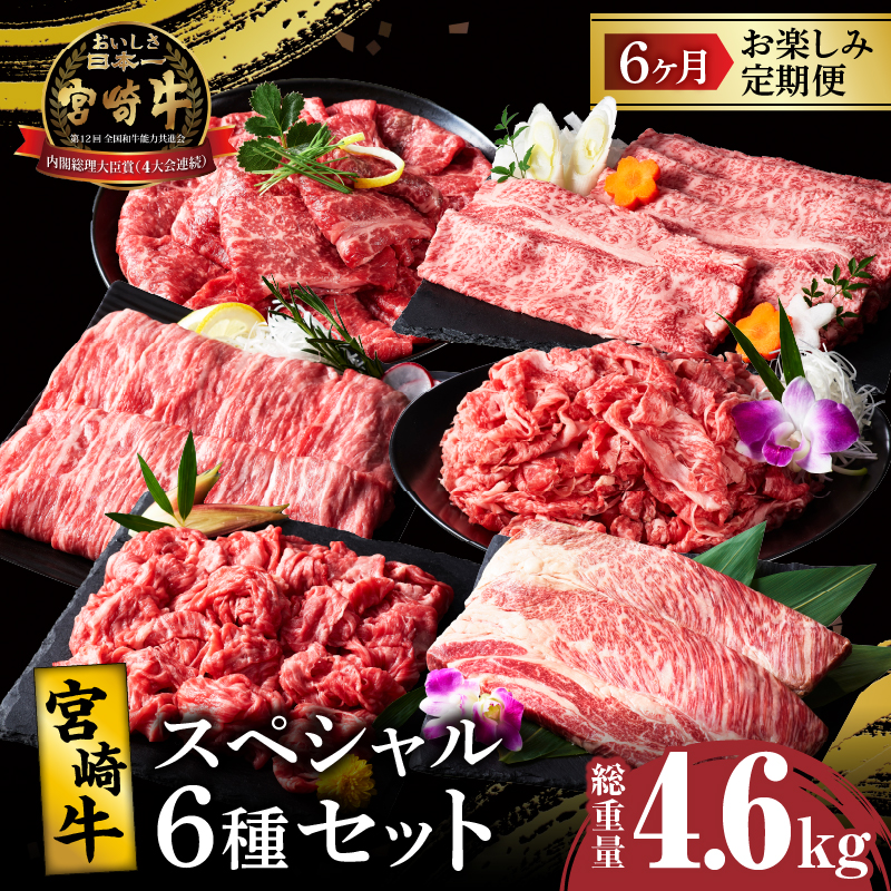 6か月お楽しみ定期便『宮崎牛スペシャル6種セット』総重量4.6kg_T009-002【肉 牛 牛肉 焼肉 国産 人気 ギフト おかず 食品 お肉 BBQ すき焼き 贈り物 送料無料 プレゼント】