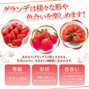 ＜先行予約受付中！2027年1月中旬～3月末に順次発送予定＞福岡県産 あまおう(計約1.5kg・250g×6P)いちご 苺 フルーツ 果物 くだもの 冷蔵 ＜離島配送不可＞【ksg1806】【エフビー