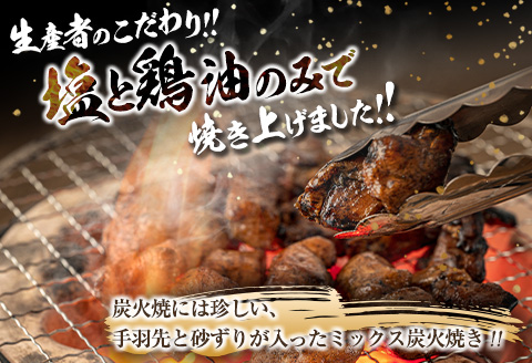 数量限定 みやざき地頭鶏 炭火焼き ミックス 合計750g 鶏肉 チキン 国産 加工品 食品 惣菜 モモ ムネ 手羽先 砂ずり おかず おつまみ 真空パック 小分け 宮崎名物 ブランド 簡単調理 晩ご