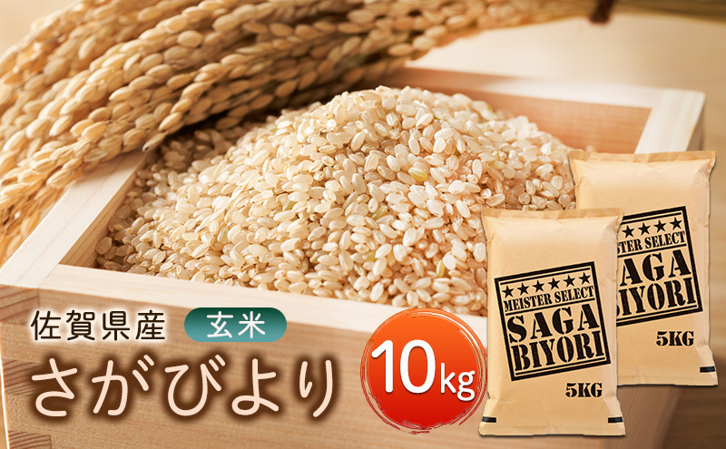 玄米 さがびより 10kg (5kg×2袋) 五つ星お米マイスター厳選！ 米 お米 ※配送不可：離島