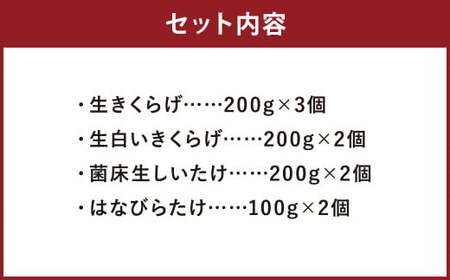 生きのこ セット 生きくらげ 生白いきくらげ 生しいたけ はなびらたけ